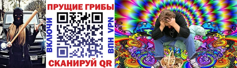 Купить где Любим Галлюциногенные грибы Psilocybine cubensis